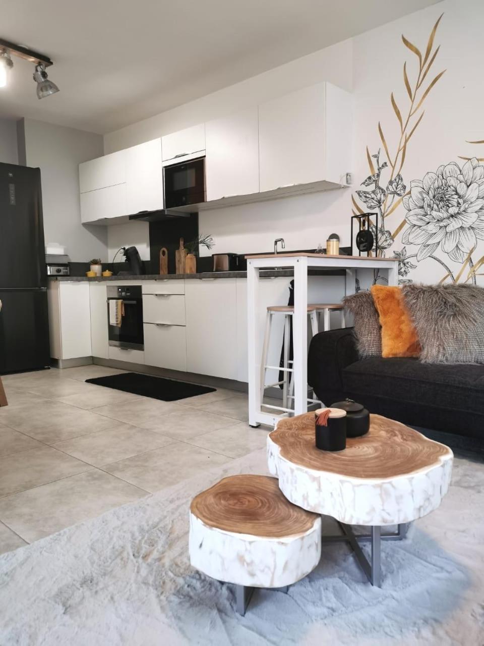 Appartement Chic & Cosy 생피에르 외부 사진